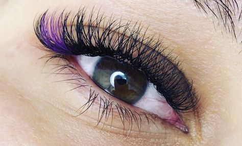 Purple Eyelash Extensions, Coloured Eyelashes, Purple Lash Extensions, Coloured Lash Extensions, Coloured Lashes, Color Eyelash Extensions, Color Lashes, Colored Lashes, Natural Fake Eyelashes