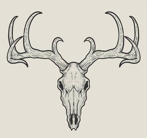 Skeleton Head Drawing, Deer Skull Drawing, Antlers Drawing, Deer Skull Tattoo, Animal Skull Drawing, Deer Skeleton, Moose Skull, Deer Skull Tattoos, Deer Skull Art