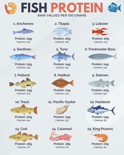 Fish Protein Chart, Fish Diet Recipes, High Protein Fish Meals, Healthiest Fish, Fish Nutrition Facts, Tuna Protein, Fish Protein, Culinary Basics, Seafood Store