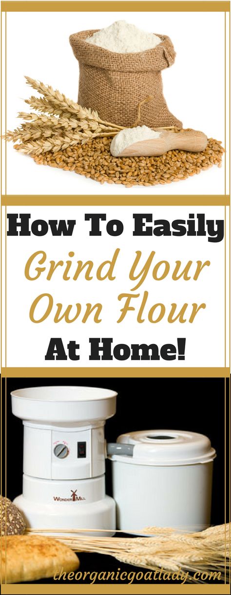 Make Your Own Flour, Make Flour, How To Make Flour, Homemade Pantry, Grain Mill, Relish Recipes, Homesteading Skills, Wheat Berries, Backyard Farming