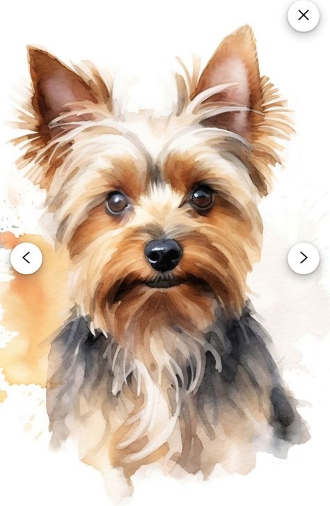 Watercolor Yorkie, Watercolour Dogs, Yorkie Painting, Yorkie Art, York Terrier, York Dog, Really Cute Dogs, Yorkie Dogs, Cute Paintings