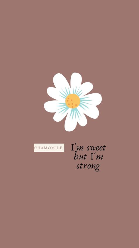 Chamomile Meaning, Flowers Lockscreen, Chamomile Flower, Cute Blue Wallpaper, Chamomile Flowers, Bible Knowledge, Blue Wallpaper, Blue Wallpapers, Flower Wallpaper