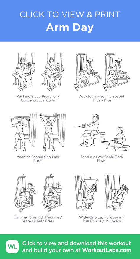 Weight Machine Workout, Planet Fitness Workout Plan, Workoutlabs Fit, Arm Workout Gym, Living Motivation, Arm Workout For Beginners, Workout Labs, Fitness Studio Training, Workout Gym Routine