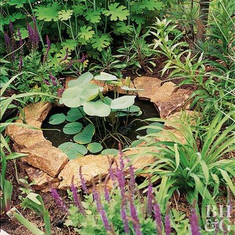 Front Yard Garden Ideas, Easy Landscaping Ideas, Yard Garden Ideas, Container Pond, Container Water Gardens, Garden Pond Design, Diy Garden Fountains, Educate Yourself, Aesthetic Garden