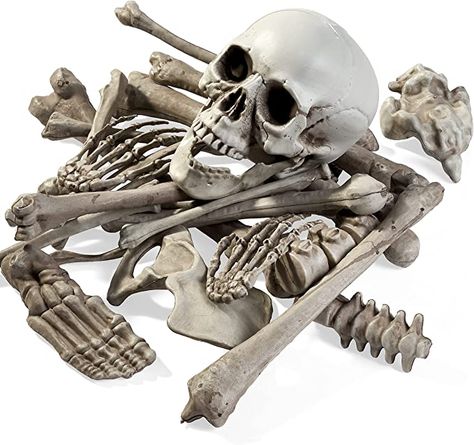 Amazon.com: THE TWIDDLERS Bag of Bones, 25 Pieces - Spooky Skull Skeleton Halloween Party Outdoor Decoration : Toys & Games Halloween Party Outdoor, Skeleton Parts, Bag Of Bones, Spooky Graveyard, Giant Skeleton, Halloween Skeleton Decorations, Plastic Skeleton, Skeleton Halloween Costume, Prank Toys