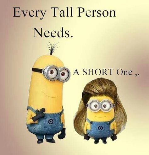 Tall guy & short girl.... Saturday Quotes Funny, Saturday Humor, Minions 2, Minion Mayhem, Bff Things, Saturday Quotes, Short Person, Minion Jokes, Minions Love