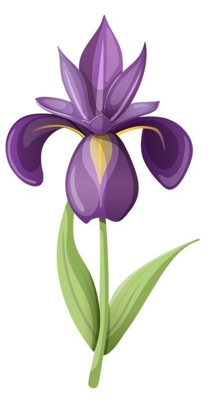 Flower Graphic, Iris Flowers, Flower Clipart, Digital Flowers, Glass Flowers, Diy Canvas Art, Flower Images, Flower Pictures, Fabric Painting