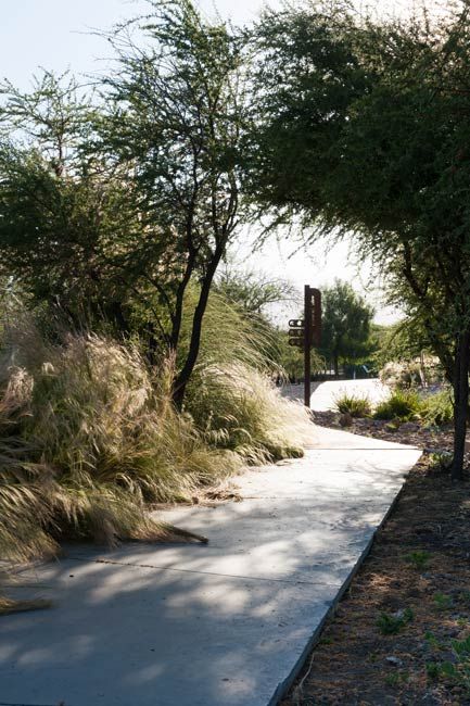 Landscape Architecture Park, Panorama Landscape, Concrete Path, Vertical Garden Wall, Hillside Landscaping, Master Thesis, Landscape Photography Tips, Landscape Architecture Design, Garden Park