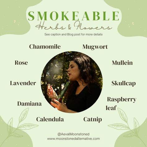 Smokeable Herbs and their Uses Smokeable Herbs, Herbs And Their Uses, Herbs List, Herbal Education, Healing Magic, Herbs And Flowers, Rose Lavender, Magic Herbs, Magical Herbs