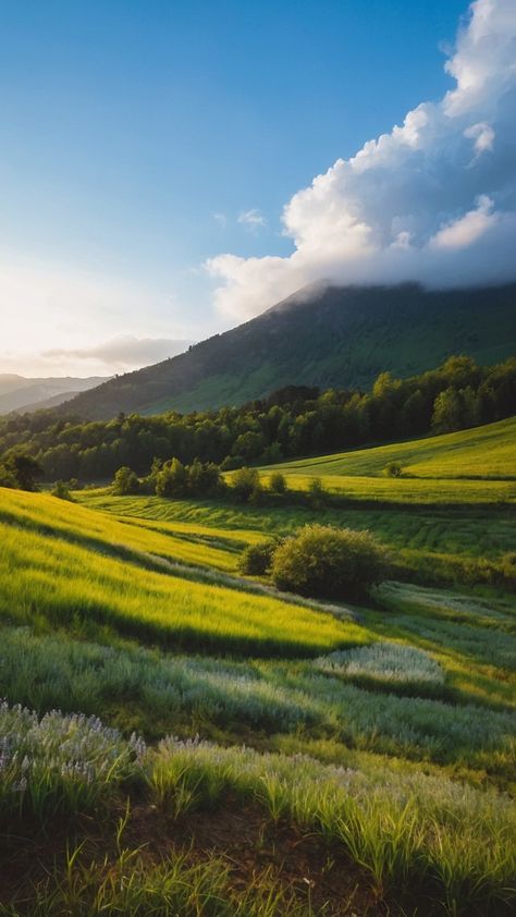 Immerse yourself in the serenity of this relaxing nature photo - a beautiful snapshot captured through the lens of photography The aesthetic and captivating visuals invite you to visit the best of nature's wonders Let the drawing videos settings and hidden quotes within the imagery transport you to a dreamy landscape Embrace the aesthetic summer days and cozy aesthetic nights depicted in this stunning photography Hidden Quotes, Nature Photo Ideas, Hidden Waterfall, Relaxing Nature, Dreamy Landscapes, Video Setting, Cozy Aesthetic, Peaceful Places, Stunning Photography