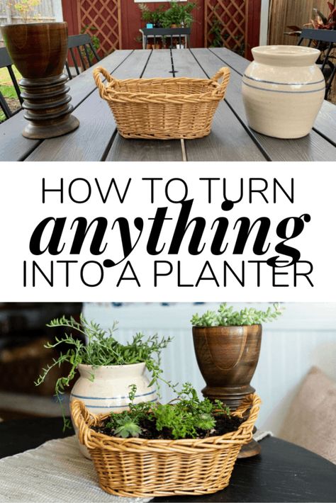 How to take anything you find at the thrift store and turn it into a planter! Tips and tricks for turning baskets, vases, or bowls into a cute planter for your home. #DIYplanter #diyproject #planter #houseplants Cheap Planters, Diy Planters Indoor, File Cabinet Makeover, Upcycled Planter, Creative Planter, Thrift Store Crafts, Basket Planters, Diy Pots, Fast Growing Plants