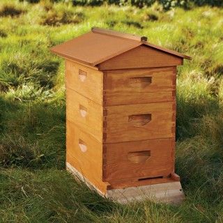 A Review of Williams-Sonoma’s Agrarian Line Backyard Beehive, Raising Bees, Bee Supplies, Beekeeping Equipment, Chicken Coop Run, Backyard Beekeeping, Planting Vegetables, Bees Knees, Edible Garden