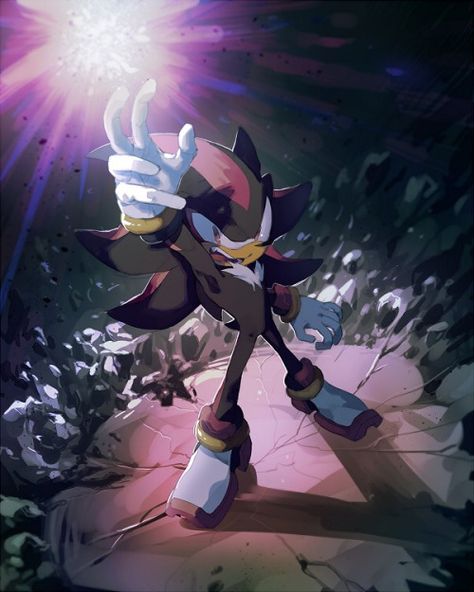 Chaos Control! Chaos Control, Shadow And Maria, Princesas Disney Anime, Shadow Sonic, Shadow And Amy, Sonic Heroes, Silver The Hedgehog, Sonic Characters, Sonic And Amy