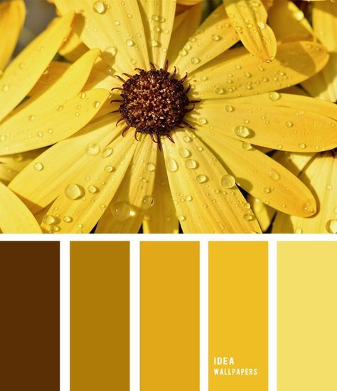 Teal Color Palette, Yellow Color Palette, Yellow Palette, Yellow Colour Scheme, Color Palette Yellow, Brown Color Palette, Hue Color, Yellow Colour, Color Flower