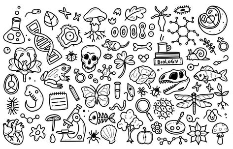 Biology Drawing Ideas, Elements Science, Biology Drawing, School Doodles, Drawing Ideas Color, Hand Drawn Elements, Animal Doodles, Animal Pins, All About Animals