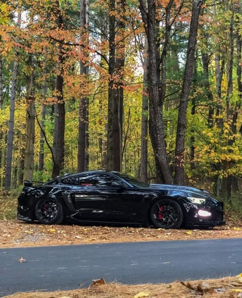 Mustang Gt 5.0 Black, All Black Mustang, Black Mustang Gt, 2018 Mustang Gt, Mustang S550, Saleen Mustang, Black Mustang, Muscle Cars Mustang, New Mustang