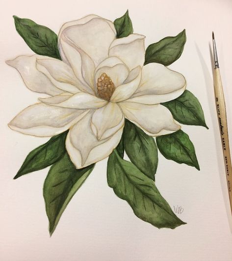 Magnolia Gouache Painting, Drawing Of Magnolia Flower, Magnolia Art Acrylic Paintings, Magnolia Texture Painting, Magnolia Flower Watercolor, Magnolia Flower Painting Acrylics, Magnolia Tree Drawing, Magnolia Tree Painting, Magnolia Acrylic Painting