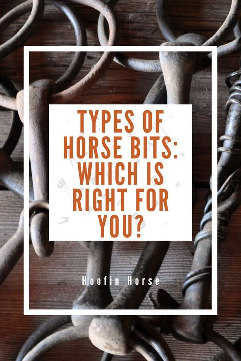 Saddle up for success with our complete guide to different types of horse bits! From snaffles to curbs, we've got you covered. Get ready to ride like a pro! https://www.hoofinhorse.com/types-of-horse-bits/ Horse Bits Types Of, Horse Guide, Horse Grooming Kit, Horse Riding Shirt, Horse Riding Helmets, Horse Saddle Pads, Half Chaps, English Horse, Snaffle Bit