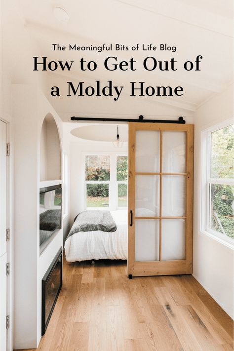 Mold Smell, Mold Toxicity, House Mold, Mold Exposure, Mold Remediation, House Room, Getting Out, Soft Furnishings, Home Values