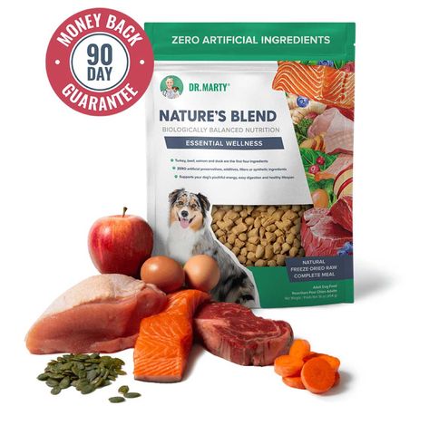 Dr. Marty Pets Yea Cup, Winnie Dog, Yorkie Puppy Care, Dog Food Homemade, Freeze Dried Dog Food, Healthy Dog Food, Food For Dogs, Raw Dog Food, Dog Teeth Cleaning