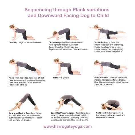 A strengthening sequence including Plank variations and Downward Facing Dog. #Plank #DownwardFacingDog #Sunbird Upward Dog, Plank Variations, Yoga Essentials, Downward Facing Dog, Dog Poses, Teaching Yoga, Yoga Therapy, Downward Dog, Yoga Classes