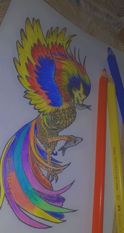 #sarimanok #mindanao #mindanaosarimanok #art #drawing #colorpencil #colorful #manok #sarimanokdrawing #sarimanoksketch #mindanaopride Sarimanok Drawing No Color, Sarimanok Art, Sarimanok Drawing, Education Slogans, Angel Girl, Bungalow House, Anime Angel, Pretty Cats, Art Drawing