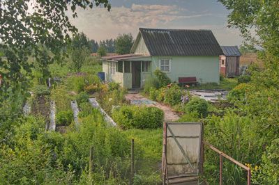 Russian Dacha, Eco Village, Simple Cottage, Garden Plots, Homestead Gardens, Urban Agriculture, Family Garden, Front Lawn, Green Lawn