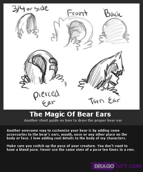 Bear Ears Drawing Reference, Bear Tail Drawing, Animal Ear Drawing Reference, Bear Nose Drawing, Bear Fursona Art, How To Draw Animal Ears, Fluffy Ears Drawing, Bear Oc Human, Bear Fursona Base