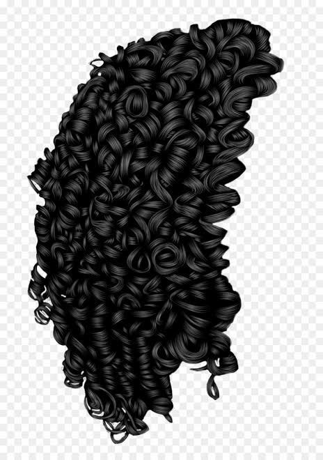 Things To Sketch, Hair Vector, Curly Bun, Curly Hair Tutorial, Afro Textured Hair, Hair Png, Pelo Afro, Pin Curls, Tight Curls