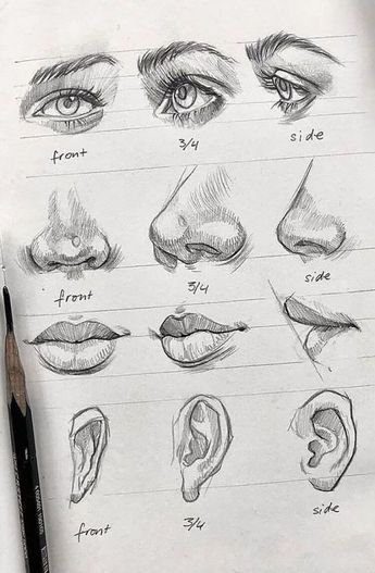 Human Face Drawing Sketches, How To Do Sketching, How To Draw Human Eyes, Eye Study Drawing, Mini Drawings Aesthetic, Nose Diagram, Portrait Basics, Basics Of Sketching, Nose Shading