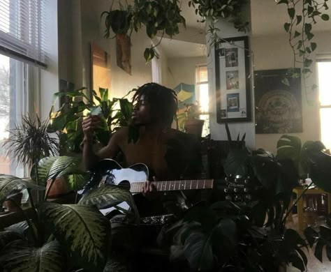 Plants Nature, Not Mine, A Man, Guitar, Living Room, Plants, Black, Nature