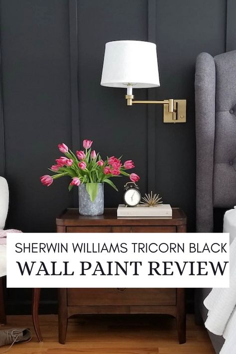 Sherwin Williams Tricorn Black Wall Paint Review Best Sherwin Williams Blacks, Sherwin Williams Black Fox Paint Interior Doors, Tricorn Black Sherwin Williams Accent Walls, Sw Tricorn Black Accent Wall, Tricots Black Sherwin Williams, Tricorn Black Bedroom Wall, Tricorn Sherwin Williams, Tri Corn Black Sherwin Williams, Tricorn Black Wall