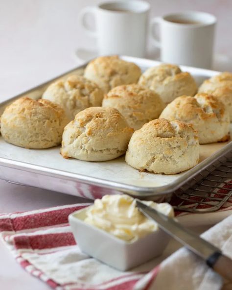 4 Ingredient Gluten-Free Drop Biscuits | Chef Janet 3 Ingredient Drop Biscuits, 4 Ingredient Gluten Free Biscuits, Gluten Free Drop Biscuits Easy, Gluten Free Cheddar Biscuits Easy, Vegan Drop Biscuits Easy, Gluten Free Drop Biscuits, Gf Biscuits, Drop Biscuits Recipe, King Arthur Gluten Free