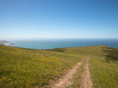 8 Hikes in Sonoma County for the Adventurous | SonomaCounty.com Parking Day, Sonoma Coast, Mountain Trails, California Poppy, Mountain Biker, St Helena, Sonoma County, San Francisco Bay Area, Hiking Trails