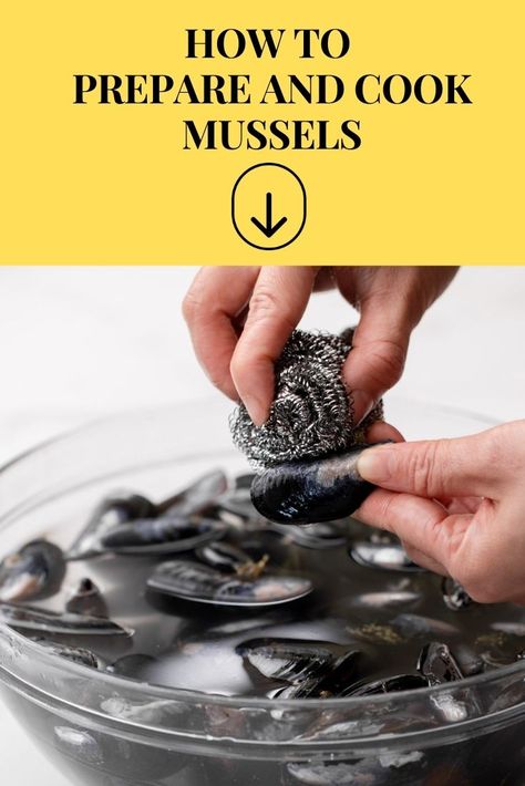 mussels Mussles Recipe White Wine Cream, How To Cook Live Mussels, How To Make Mussels, Mussels In White Wine Sauce Garlic, Muscle Recipes Seafood, How To Cook Mussels, Muscles Recipe White Wine, Muscles Recipe, Mussels Recipe White Wine