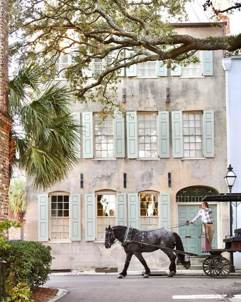 Over 50 Lifestyle in Charleston, SC. on Instagram: "Scenes of downtown Charleston. #socharleston #charlestonsc #charlestonsouthcarolina #lowcountryliving #archilover #architecture #charlestonhomes #architecturelover #architecture #architecturaldigest #traditionalhome #betterhomesandgardens #southernliving #slhomes #mysouthernliving #southernarchitecture #southerncharm #southernhome #southernstyle #classicalarchitecture #historichouse #historichome #oldhouselove #traditionalhome #housebeautiful # Charleston Sc Interiors, Charleston South Carolina Apartments, Charleston Historic Homes, Charleston In The Fall, Charleston Sc Aesthetic, Charleston South Carolina Vacation, Charleston Aesthetic, Charleston Sc Things To Do, Charleston Living