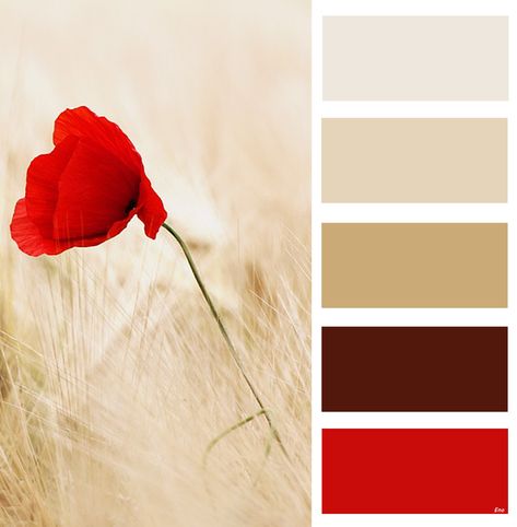 Red Boho Color Palette, Red Color Pallete Colour Schemes, Cream Red Color Palette, Poppy Red Color Palette, Colors With Red, Red And Neutral Color Palette, Ruby Red Color Palette, Red And Beige Color Palette, Red Pallete Combination