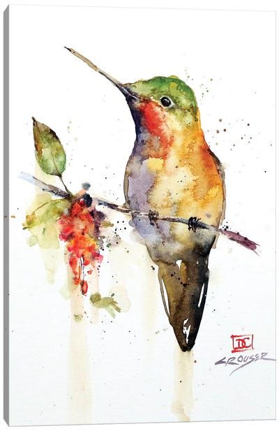 Hummingbird On Branch, Rocks Watercolor, Dean Crouser, Watercolor Party, Felted Birds, Watercolor Instruction, Watercolor Hummingbird, Hummingbird Painting, Bird Watercolor Paintings