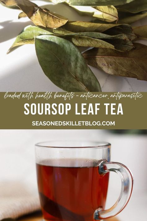 Soursop Tea Recipe Soursop Tea Recipe, Soursop Tea, Soursop Fruit, Boost Your Mood, Tea Recipe, Natural Home Remedies, Health Advice, Tea Recipes, Herbal Tea