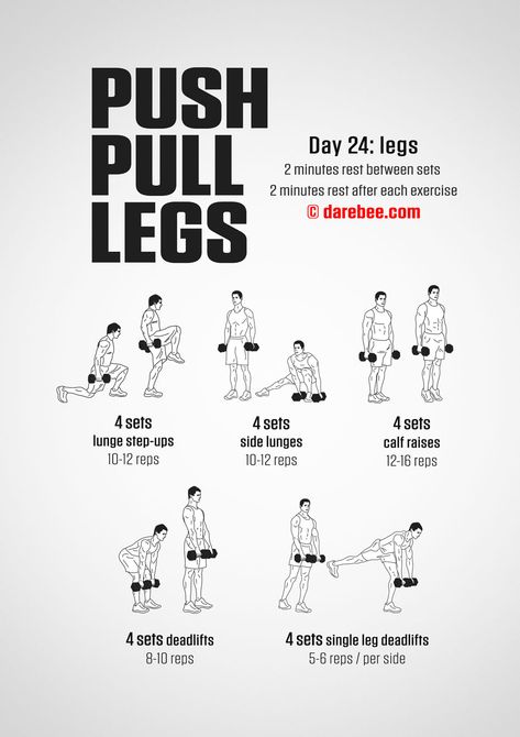 Push Pull Workout Routine, Workout Dumbell, Push Pull Legs Workout, Neila Rey Workout, Push Pull Workout, Challenges Fitness, Workout Labs, Push Pull Legs, Full Body Dumbbell Workout