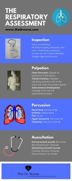 Click through for access to the downloadable version of this respiratory assessment checklist. Many more nursing study guides available including pharmacology health assessment pathophysiology dosage calculation and med-surg cheat sheets! Nursing | Nursing school | Nursing student | Respiratory system | Health assessment | Physical assessment | Respiratory assessment | Focused assessment | Nursing study guides Click through for access to the downloadable version of this respiratory assessment c Respiratory Assessment, Medical School Notes, Health Assessment Nursing, Assessment Nursing, Nursing Cheat Sheet, Assessment Checklist, Nursing Cheat, Lpn Schools, Med Surg Nursing