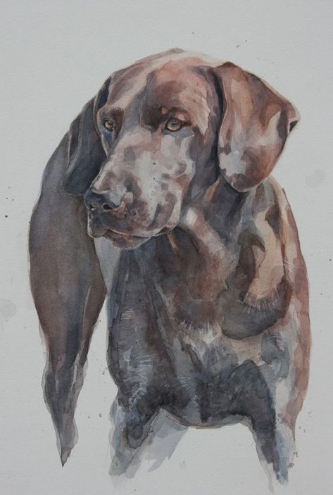 Watercolor Dogs, Weimaraner Dogs, Canine Art, Animals In Art, Animal Portraits, Watercolor Dog, Weimaraner, Dog Images, Arte Animal