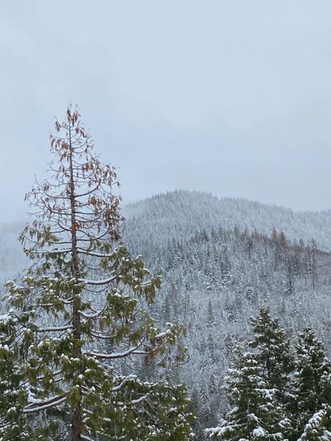 #snowy #oregon #oregonexplored Oregon Coast Winter, Oregon Snow, Steens Mountains Oregon, Alvord Desert Oregon, Neskowin Beach Oregon, Oregon