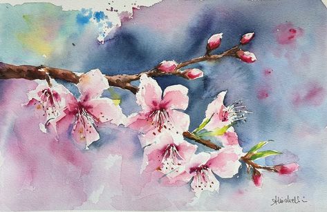 Blossom Watercolor, Cherry Blossom Watercolor, Cherry Plum, Flower Sketches, Watercolor Flower Art, Watercolor Flowers Paintings, Watercolor Trees, Cherry Blossom Tree, Plum Blossom