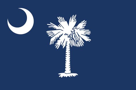 South Carolina State Flag, Breathe Carolina, South Carolina Flag, Western Borders, Memphis May Fire, African Ancestry, Moon Symbols, Mayday Parade, Owl City