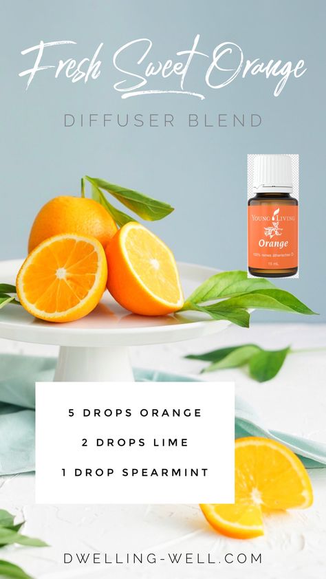 Fresh sweet orange essential oil diffuser blend. Sweet Orange Diffuser Blends, Orange Diffuser Blends, Sweet Orange Essential Oil Blends, Orange Essential Oil Blends, Essential Oil Perfumes Recipes, Essential Oil Combinations, Doterra Essential Oils Recipes, Essential Oils Guide, Essential Oils Health