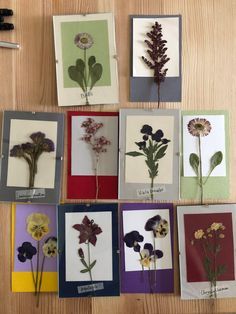 Herbarium File Cover Decoration, Dryflower Art, Herbarium Book Ideas, Flower Herbarium, Art Festival Booth, Herbarium Art, World Art Day, Handmade Journals Diy, Bond Paper Design