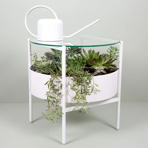 Succulent Table, Terrarium Table, Table Decorating Ideas, Vertical Garden Indoor, Stylish Side Table, Table Decorating, Planter Table, Plant Table, Versatile Furniture