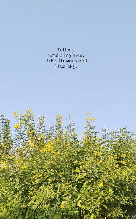 Tell me something nice like flowers and blue sky Tell Me Something Good Quotes, Tell Me Something Good, Tell Me Something, Something Nice, Something Interesting, Snap Quotes, Nature Quotes, Blue Skies, Better Life Quotes