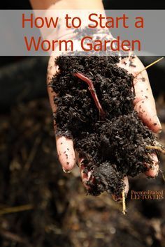 Worm Garden, Planting Food, Worm Beds, Bed Project, Worm Farming, Compost Container, Worm Bin, Worm Composting, Worm Farm